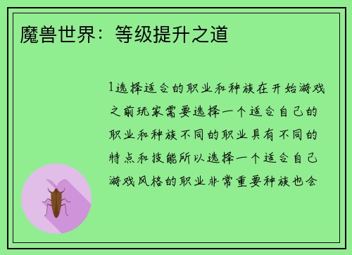 魔兽世界：等级提升之道