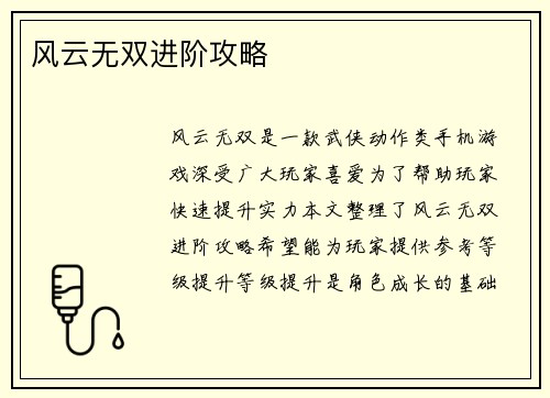 风云无双进阶攻略
