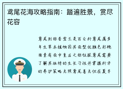 鸢尾花海攻略指南：踏遍胜景，赏尽花容